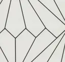 Black Diamond