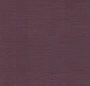 Mulberry Flicker