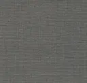 Polished Pewter