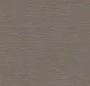 Twinkling Taupe