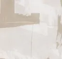 Golden Plaster