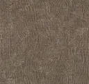 Fossil