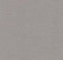 Silver Shimmer