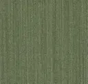 Moss