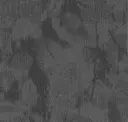 Microform
