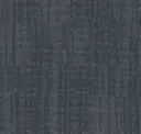Duplicate