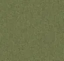 Pistachio