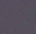 Jacaranda