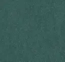 Spruce