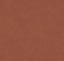 Spice
