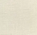 101