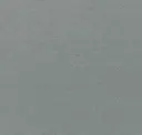 1101