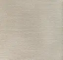 Sand Dollar