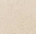 101