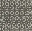 Iron