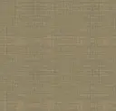 204