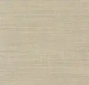 411
