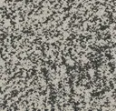 Monotype