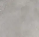 Ash