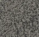 Duotone