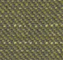Moss