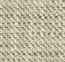 Wool