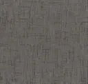 Dapple Grey