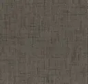 Acorn