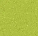 Seaweed