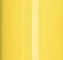 Daffodil