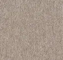 Desert