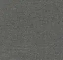 Mola Grey