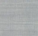 Silver Dust