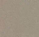 Birch