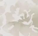 Mineral