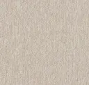 Bisque
