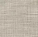 Desert Grass
