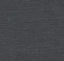 Iron