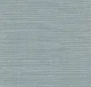 Glacier
