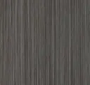 Elm
