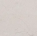 Bianco Antico