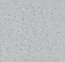Ter004-36x36