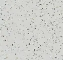 Ter009-36x36