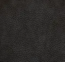 Coal