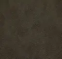 Werewolf