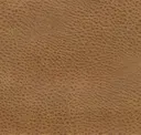 Boomerang
