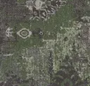 Rev203 Field