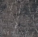 Wan154 Observe