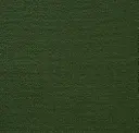 Green Sea Turtle
