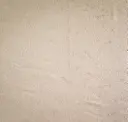 Fresh Snow